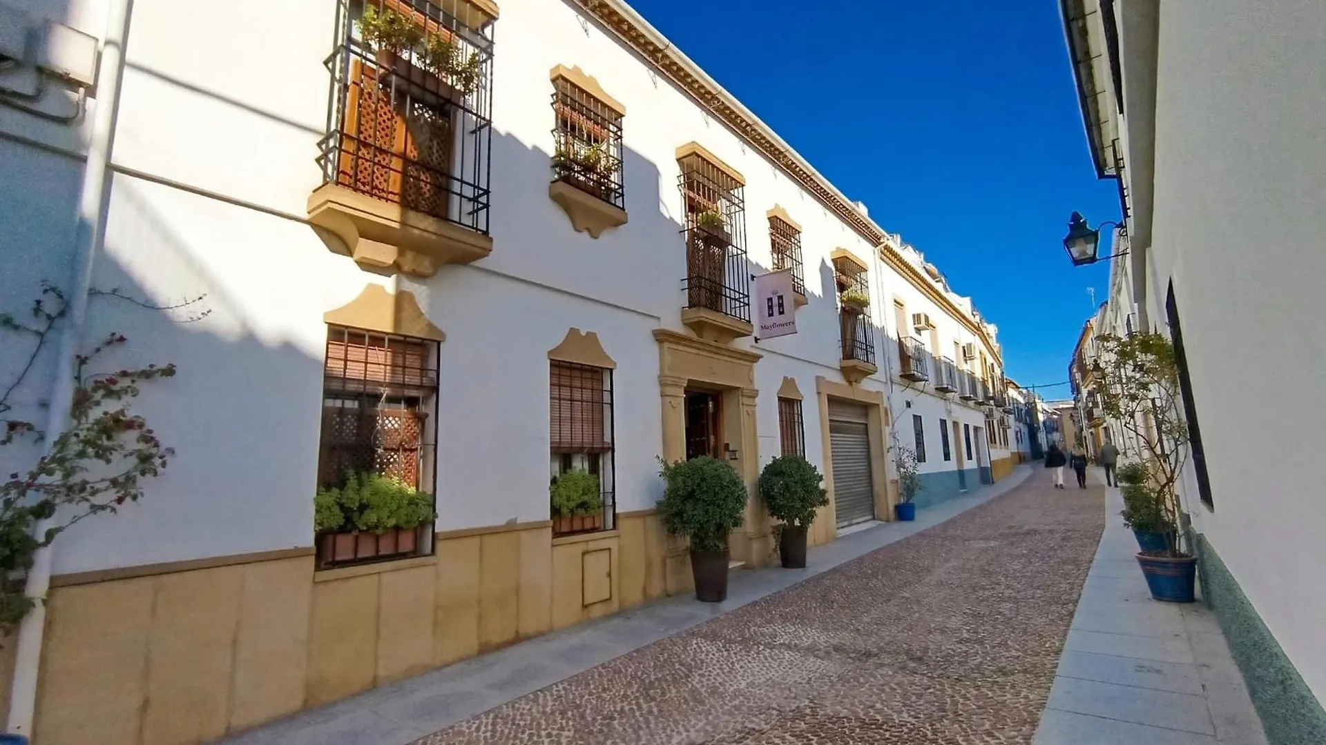 Hostel Mayflowers Cordoue Espagne